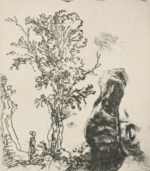 Sketch of a Tree by Rembrandt Van Rijn - Hand-Painted Oil Painting Reproduction