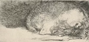 The Little Dog Sleeping by Rembrandt Van Rijn - Hand-Painted Oil Painting Reproduction